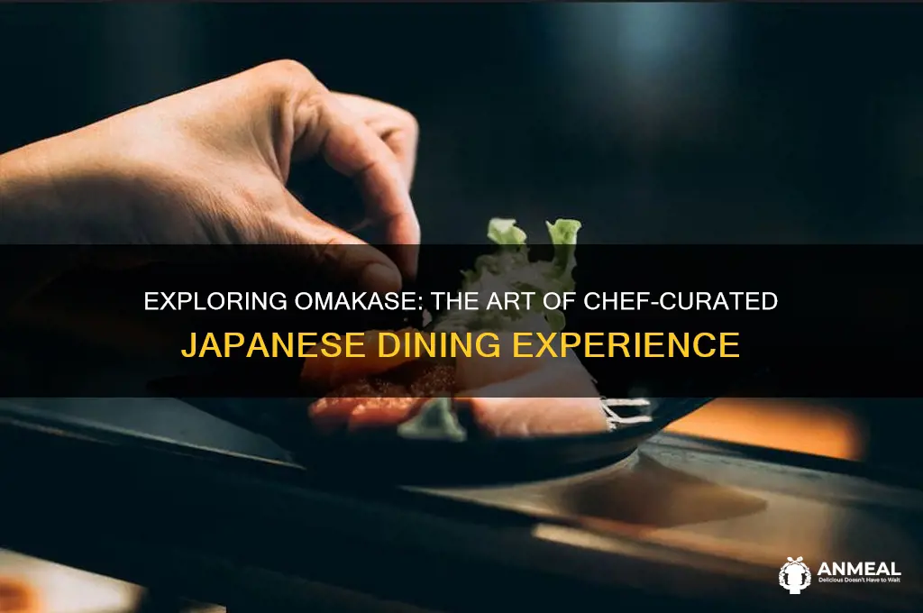 what is an omakase dinner