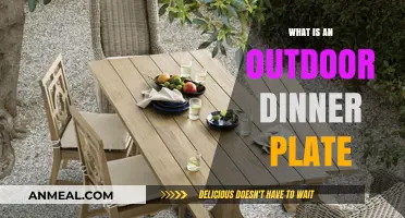 Exploring the Versatile Outdoor Dinner Plate: Uses, Materials, and Benefits