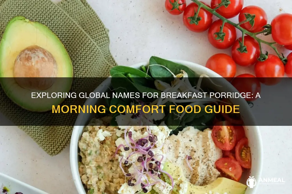 what is another word for breakfast porridge