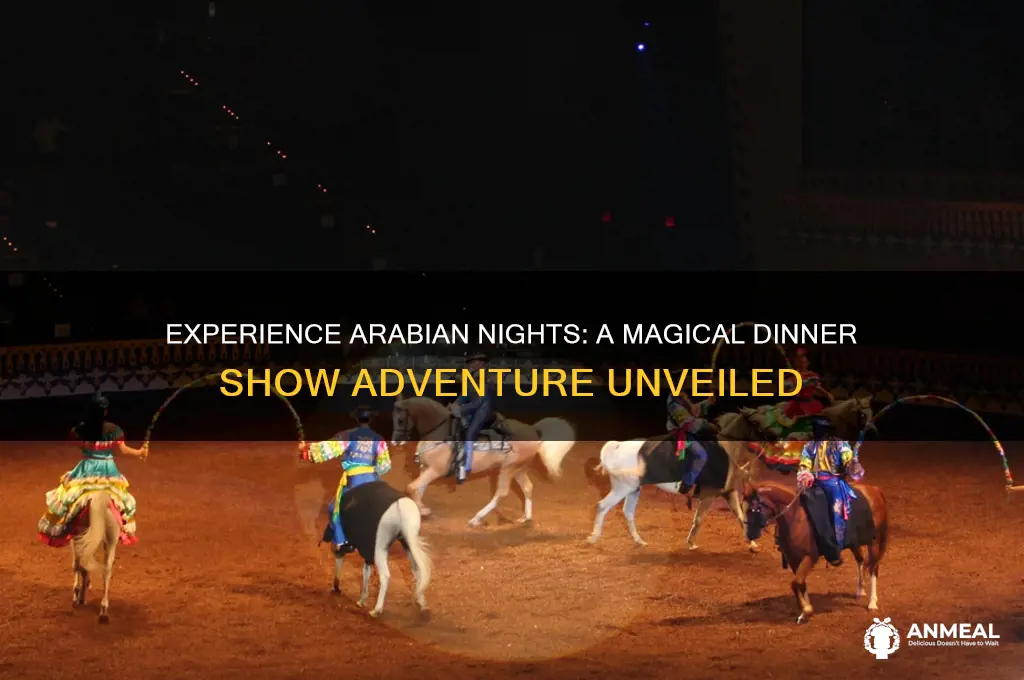 what is arabian nights dinner show