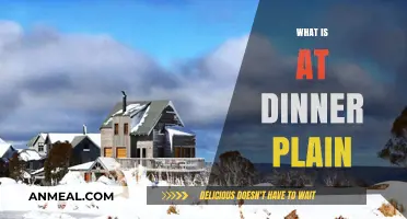 Discovering Dinner Plain: A Hidden Alpine Village in Victoria, Australia