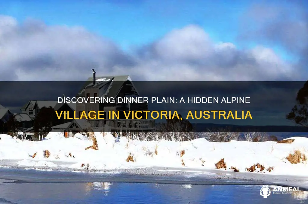 what is at dinner plain