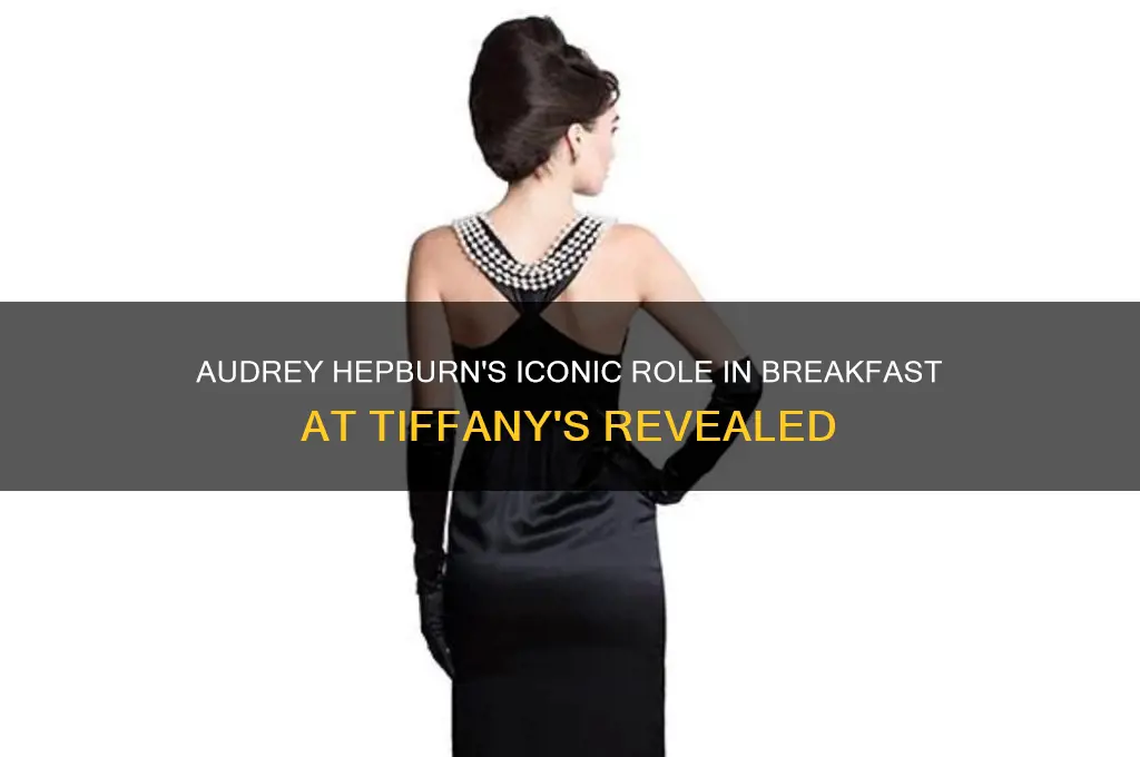 what is audrey hepburn