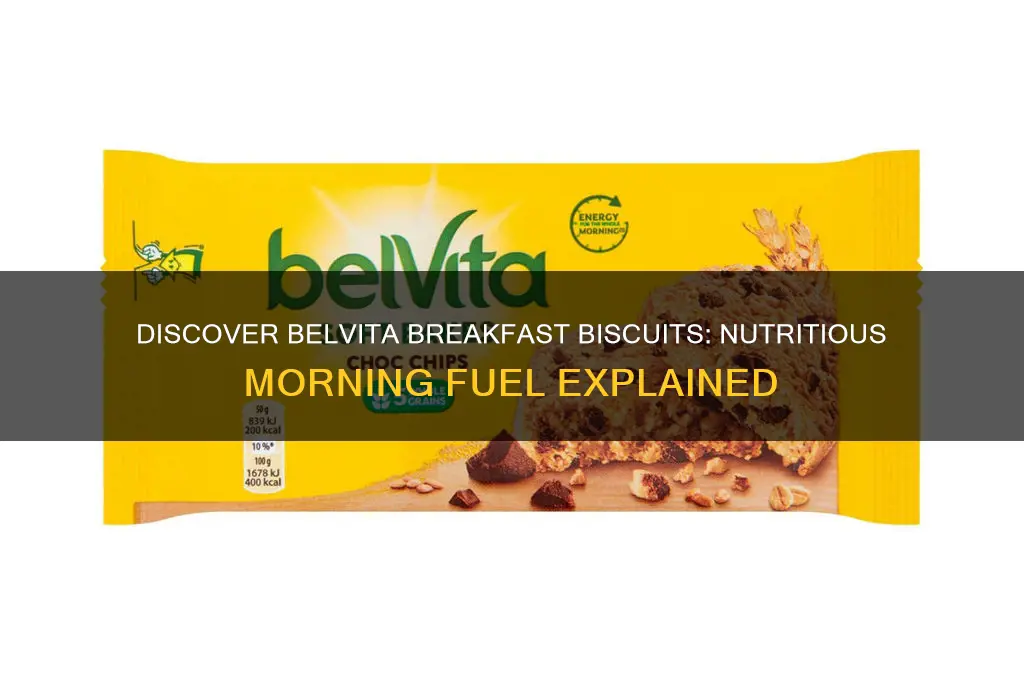 what is belvita breakfast biscuits