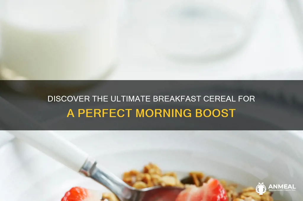 what is best breakfast cereal