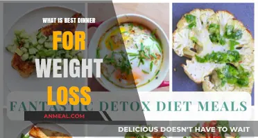 Healthy Dinner Ideas for Sustainable Weight Loss and Nutrition