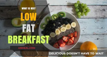Healthy Low-Fat Breakfast Ideas for a Nutritious Morning Boost