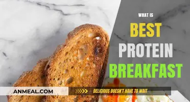 Kickstart Your Day: Top Protein-Packed Breakfast Ideas for Energy
