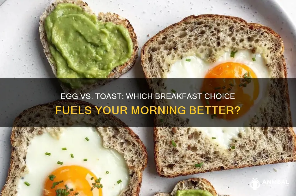 what is better for breakfast egg or toast