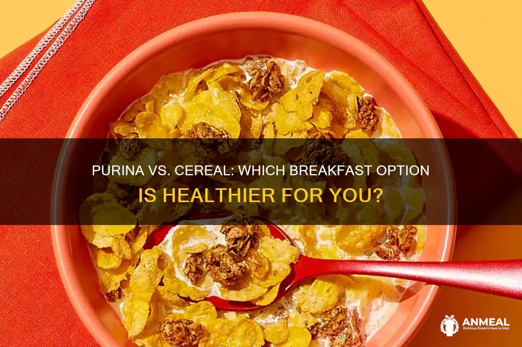 what is better for breakfast purina or cereal