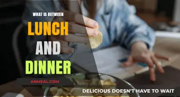 Exploring the Afternoon Snack Gap: What's Between Lunch and Dinner?