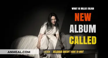 Exploring Billie Eilish's Latest Musical Journey: Album Name Revealed