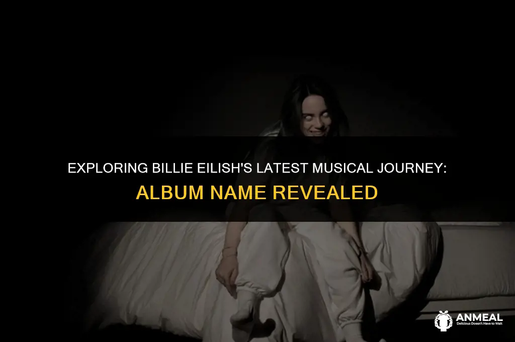 what is billie eilish new album called