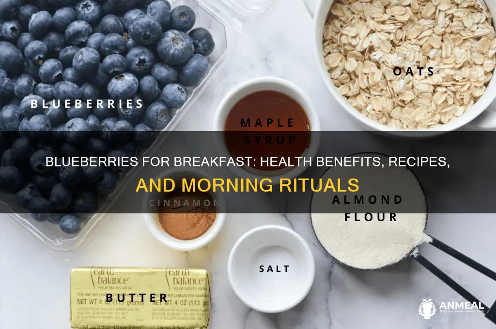 what is blueberries for breakfast about