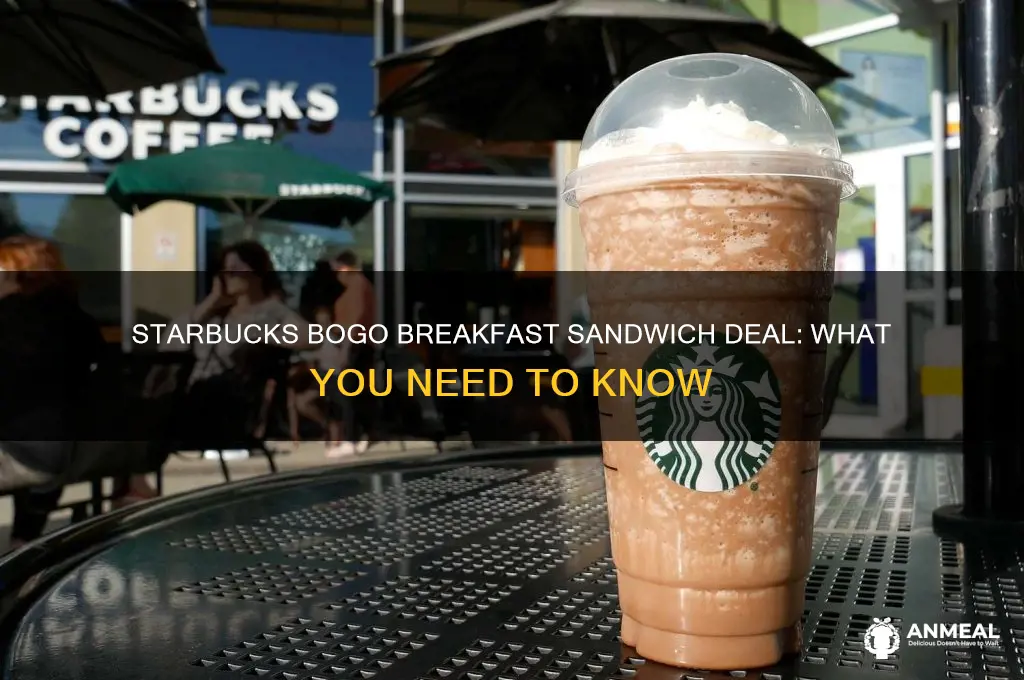 what is bogo breakfast sandwich at starbucks