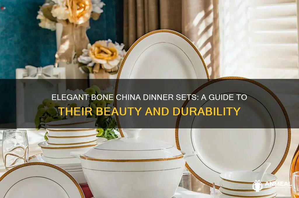 what is bone china dinner set