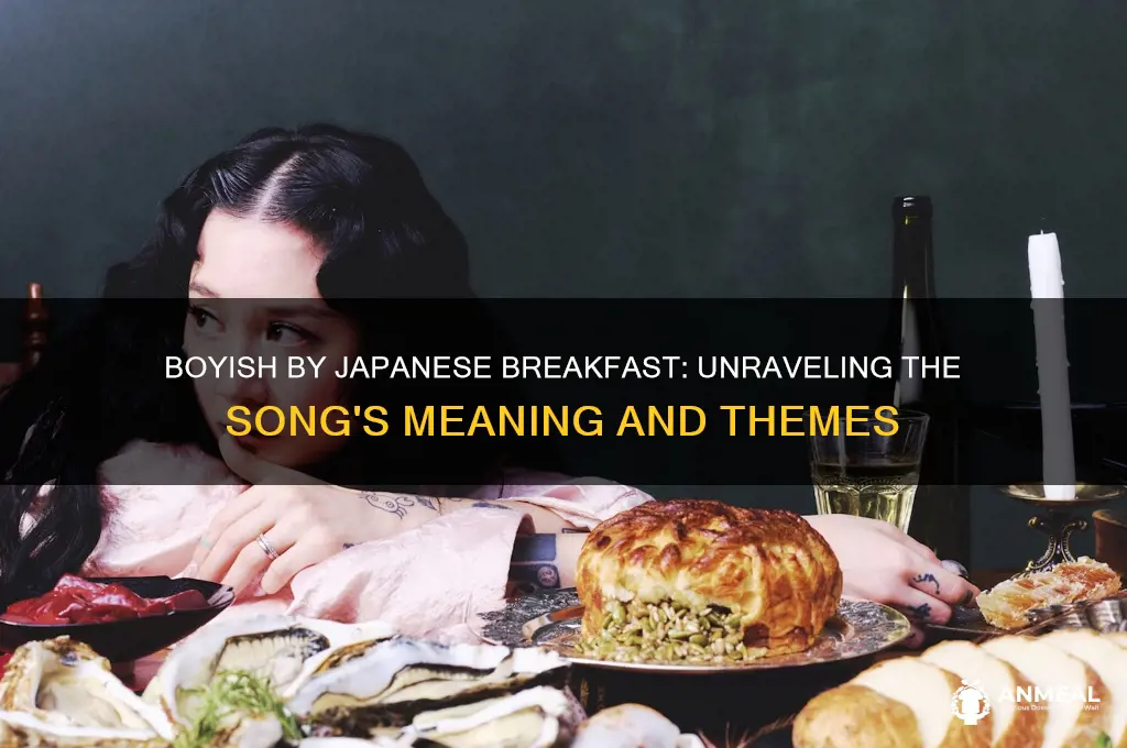 what is boyish by japanese breakfast about