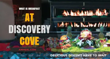 Exploring Breakfast at Discovery Cove: A Delicious Start to Adventure