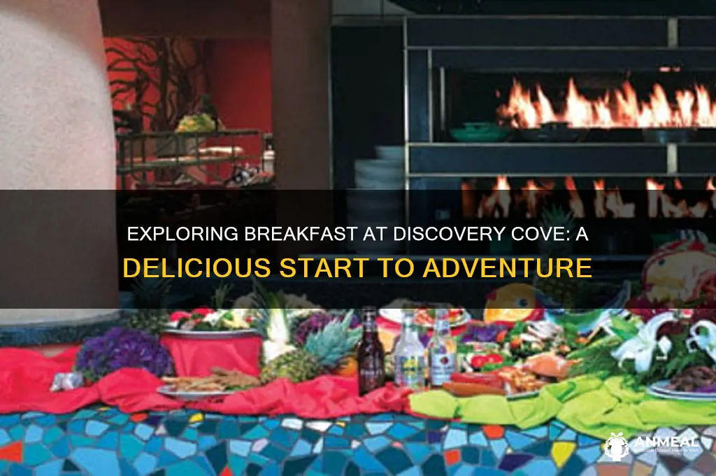 what is breakfast at discovery cove