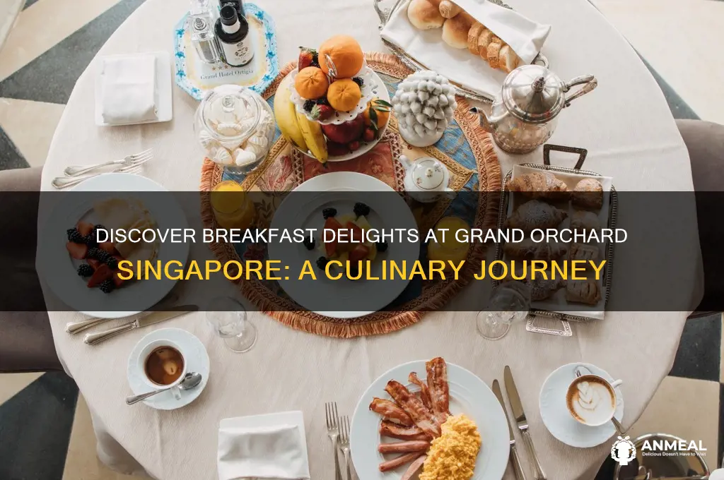 what is breakfast at grand orchard singapore
