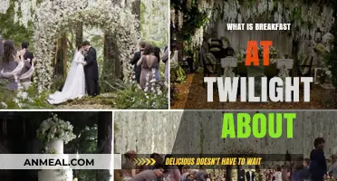 Breakfast at Twilight: Unveiling the Story and Themes Explored