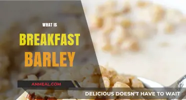 Discover Breakfast Barley: A Nutritious Morning Grain Alternative