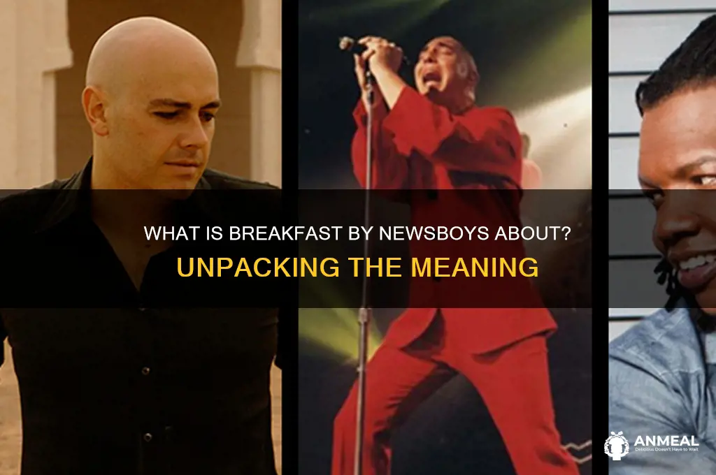 what is breakfast by newsboys about