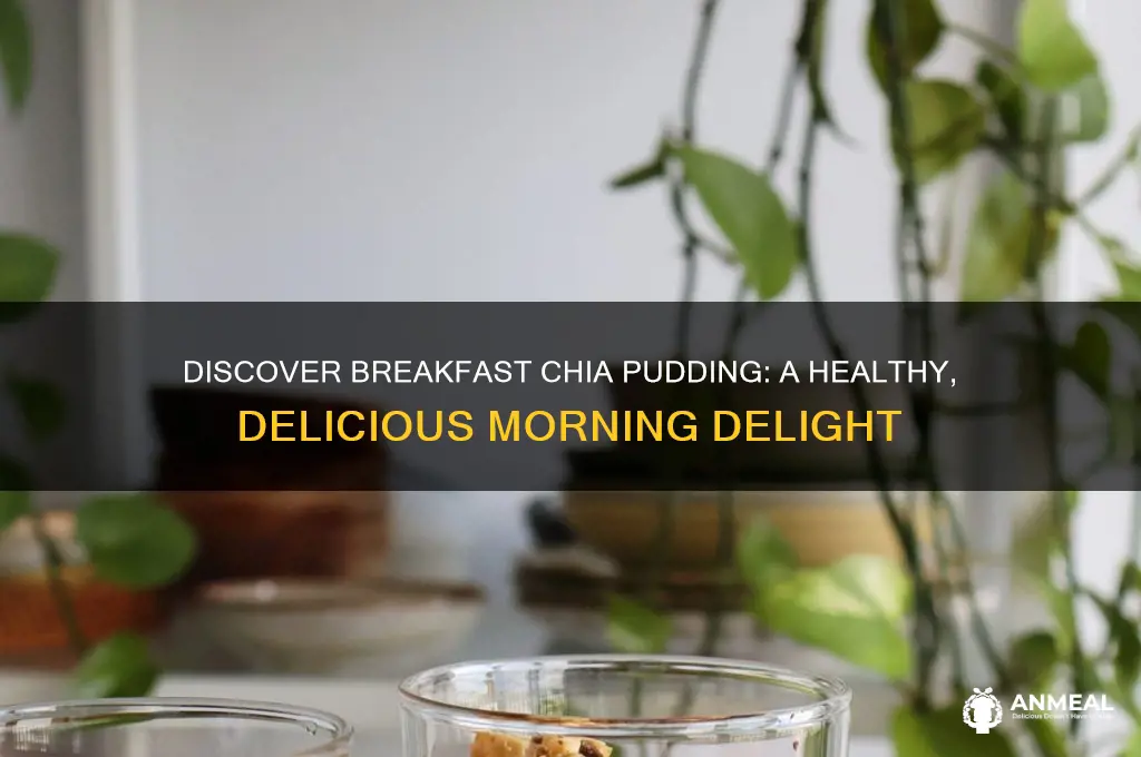 what is breakfast chia pudding