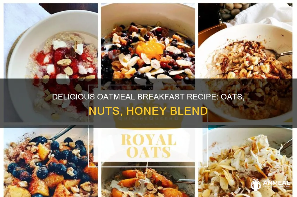 what is breakfast food with oats nuts honey