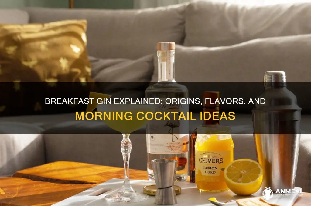 what is breakfast gin