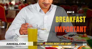 Why Breakfast Matters: Fueling Your Day for Energy and Focus