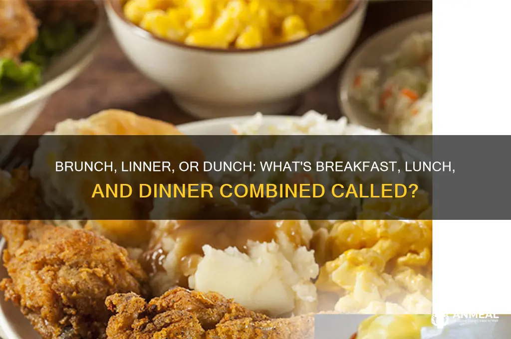 what is breakfast lunch and dinner combined called