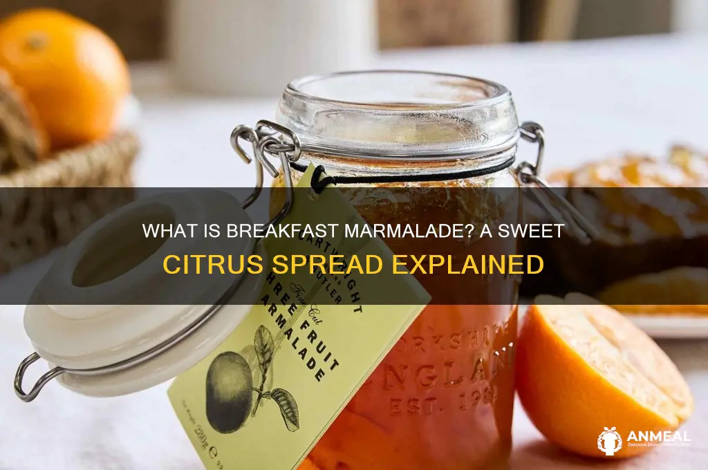 what is breakfast marmalade
