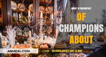 Unraveling the Themes and Meaning of Breakfast of Champions