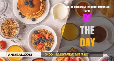 Why Breakfast is the Most Important Meal of the Day