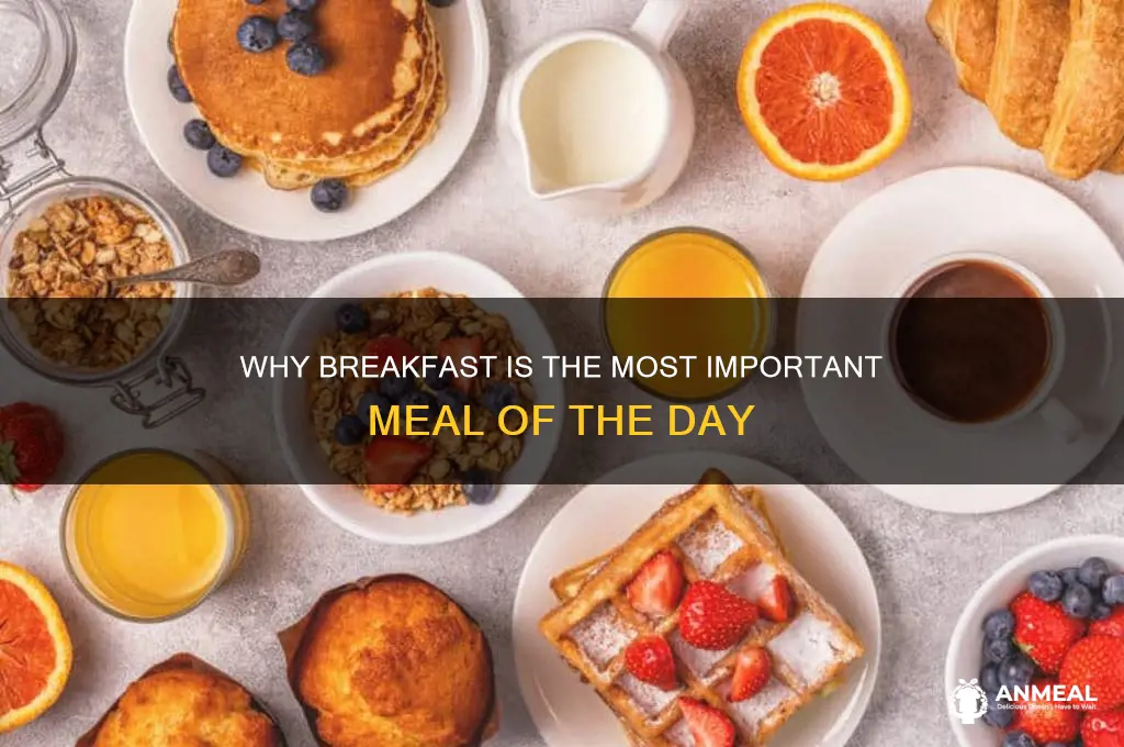 what is breakfast the most important meal of the day