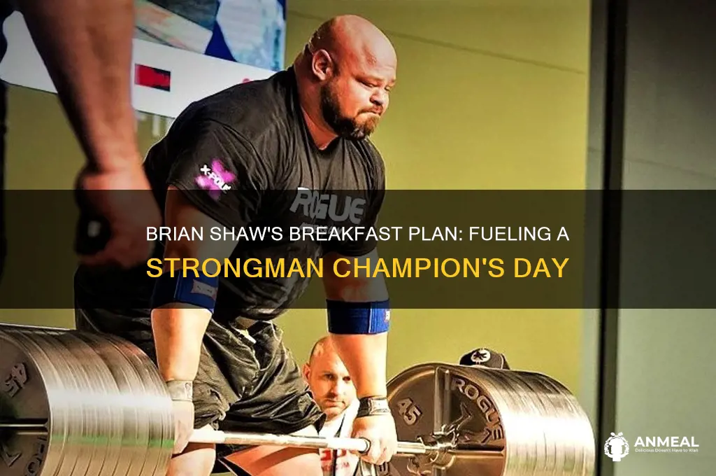 what is brian shaw breakfast plan