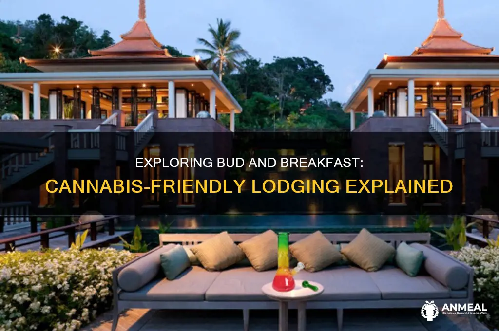 what is bud and breakfast
