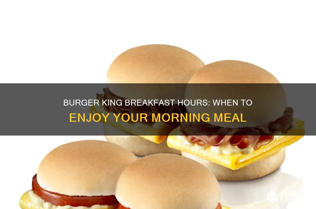 what is burger king breakfast hours