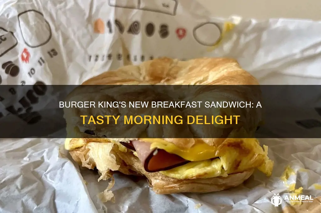 what is burger king