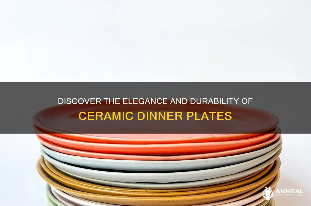 what is ceramic dinner plates