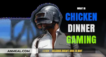 What is Chicken Dinner Gaming? A Beginner's Guide to Winning Big