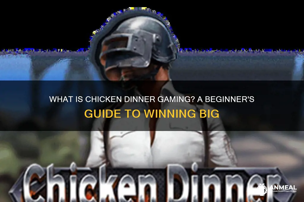 what is chicken dinner gaming