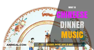 Exploring the Melodic Charm of Traditional Chinese Dinner Music