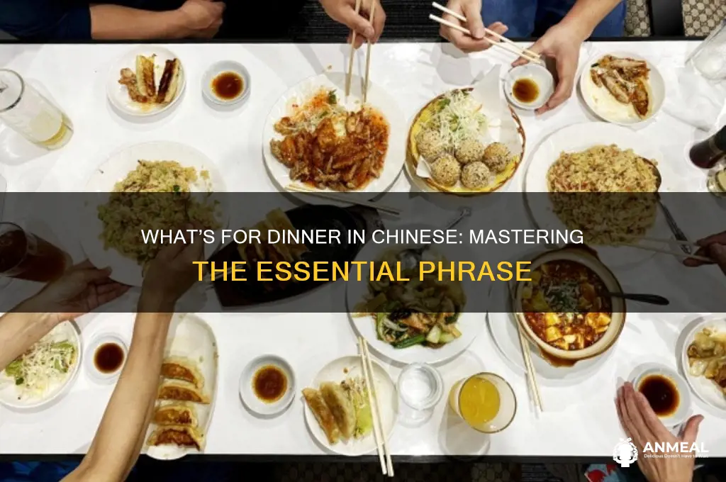 what is chinese for what