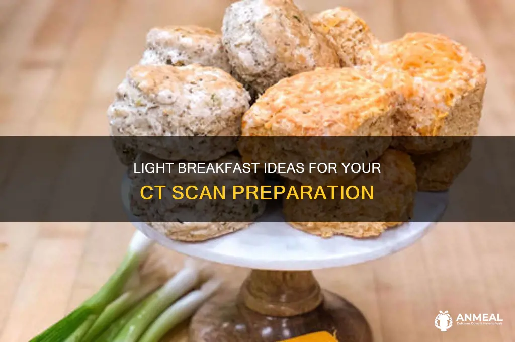what is considered a light breakfast before a ct scan