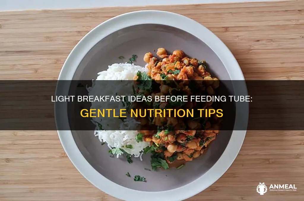 what is considered a light breakfast before a feeding tube
