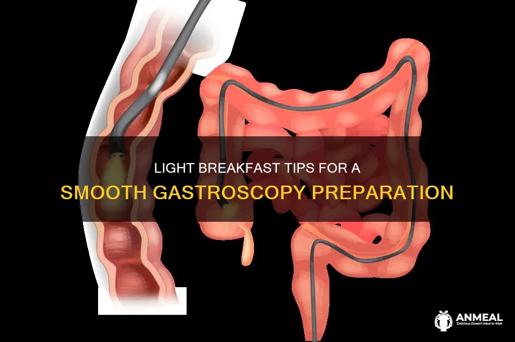 what is considered a light breakfast before a gastroscopy
