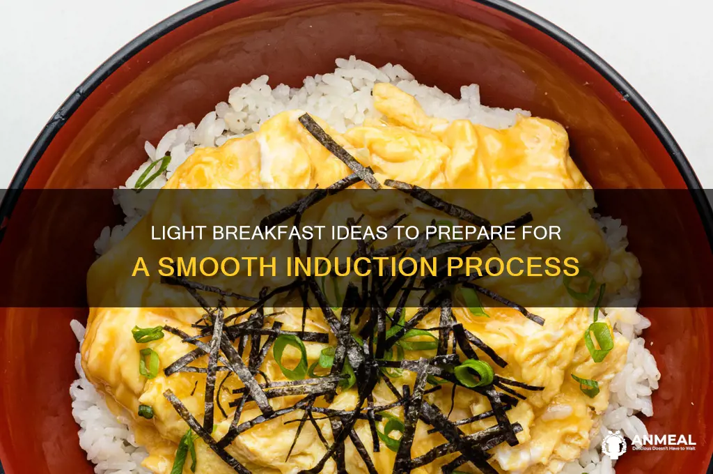 what is considered a light breakfast before induction
