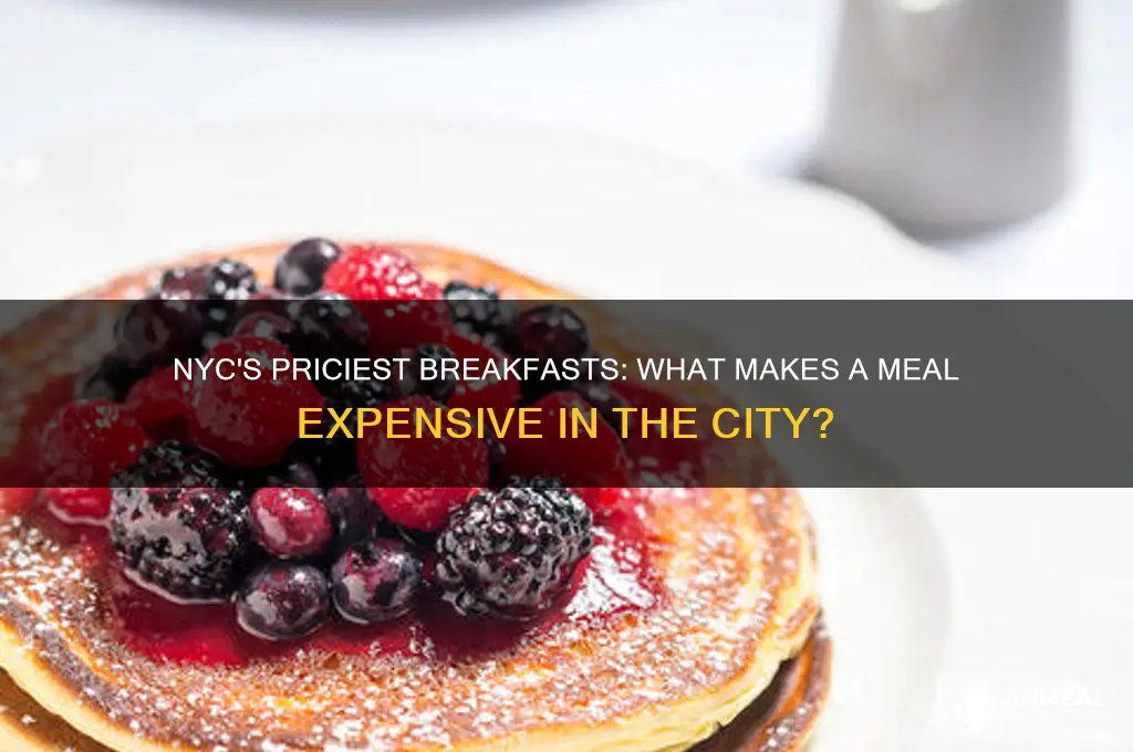 what is considered an expensive breakfast in nyc